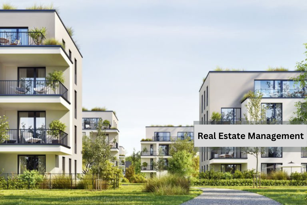 Real Estate